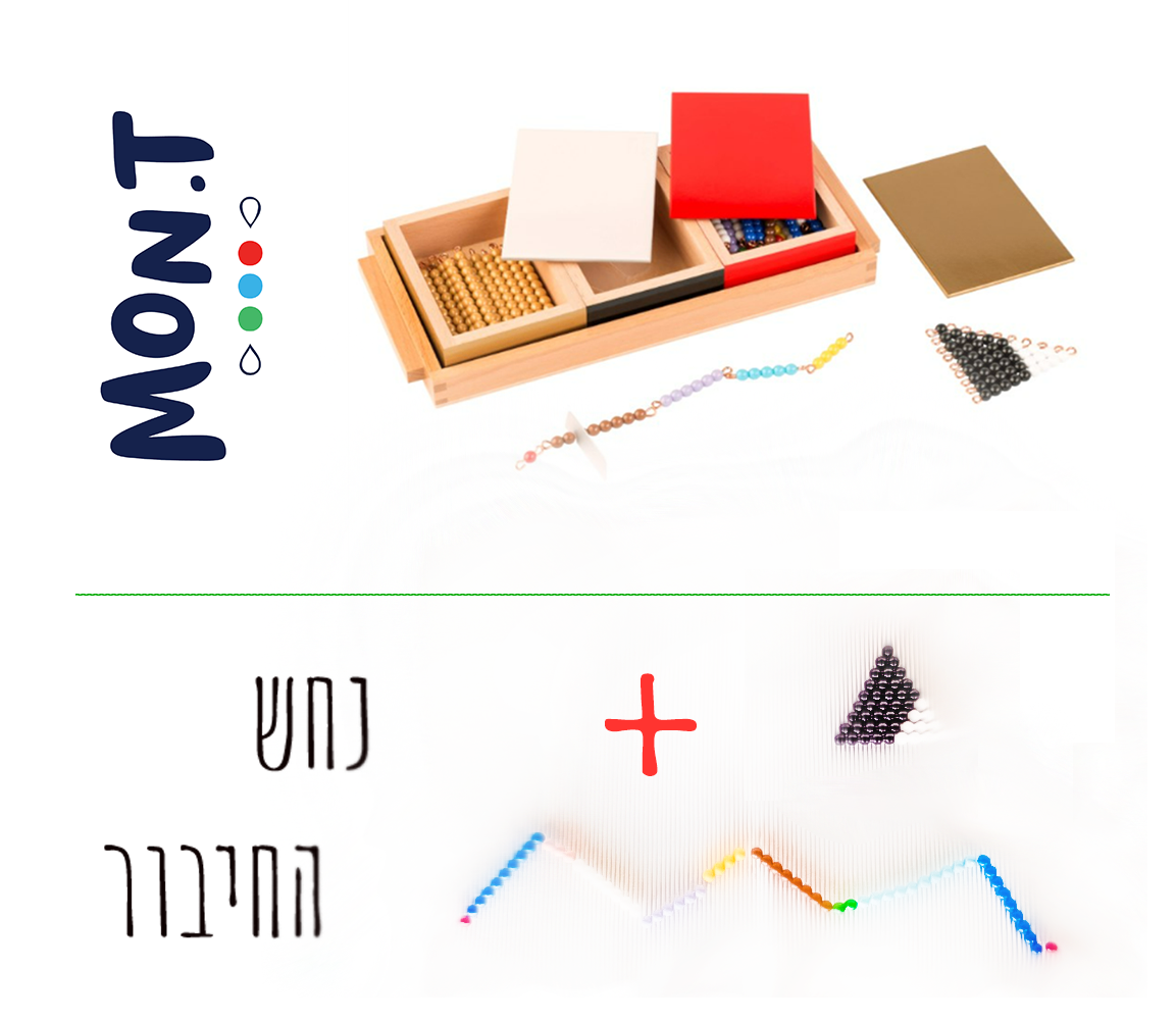 שלבי עבודה: משחק הנחש בחיבור - monteach